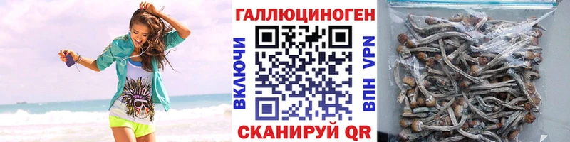 Псилоцибиновые грибы мухоморы Белокуриха